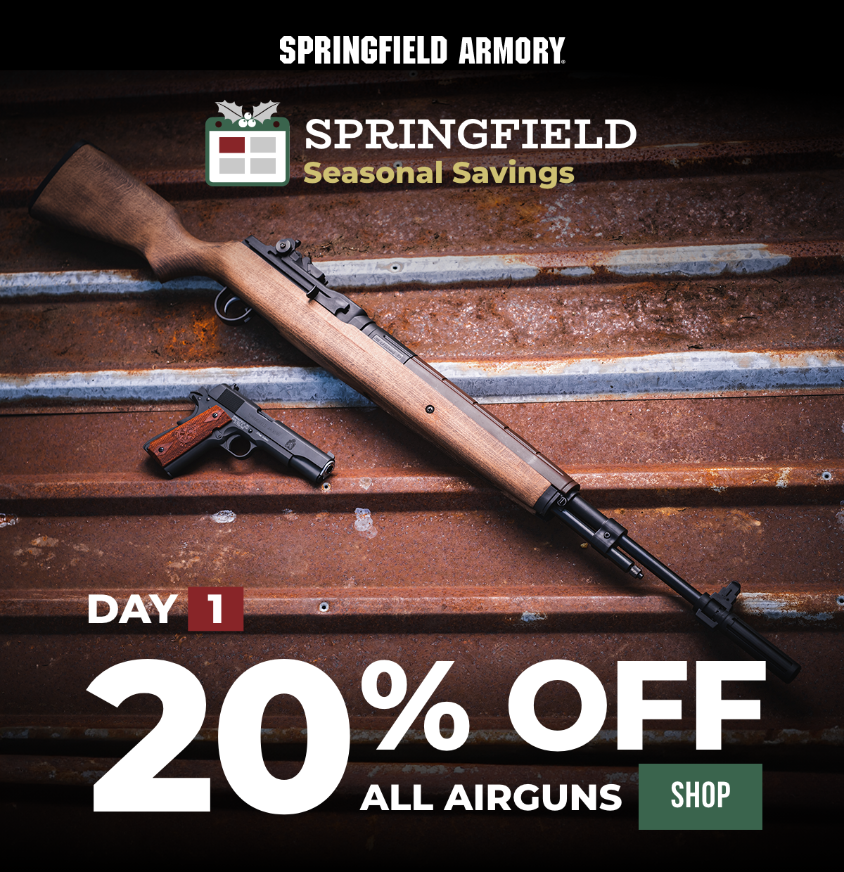 Day 1 - 20% OFF All Airguns
