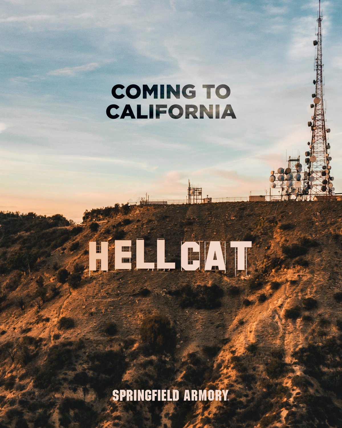 hellcat-california-social-crop-2