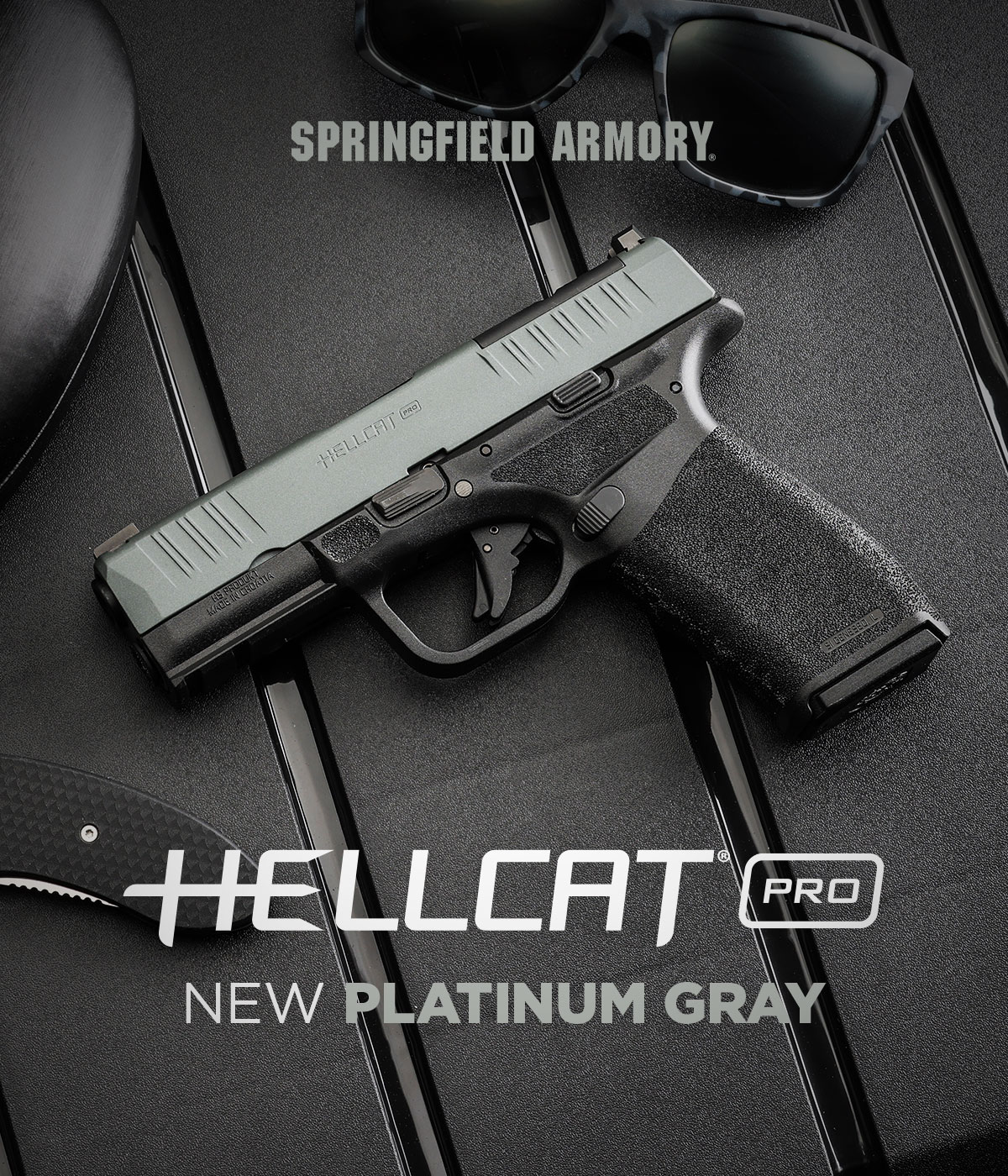 New Platinum Gray Hellcat Pro – Now Available | FOG HORN