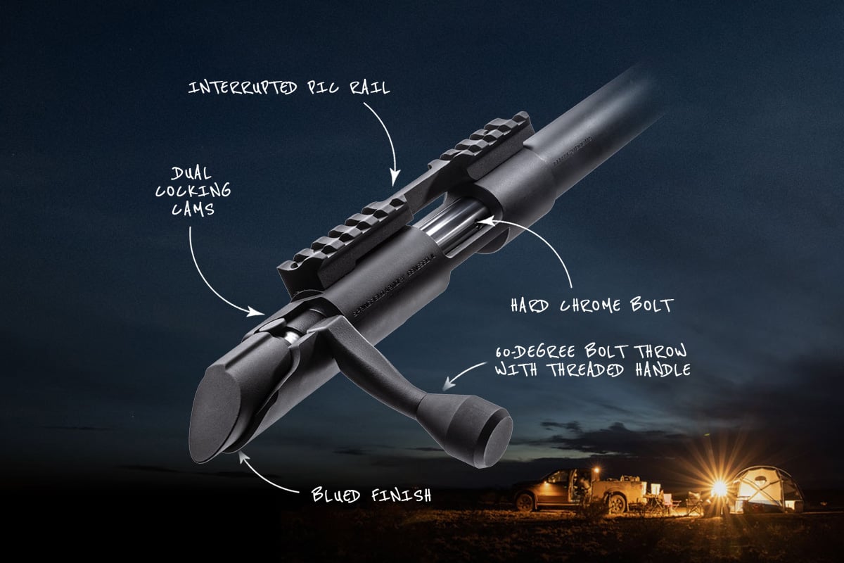 model2020-rimfire-bolt-1200